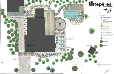 Plan d'aménagement paysager d'une piscine naturelle avec vue en plan
