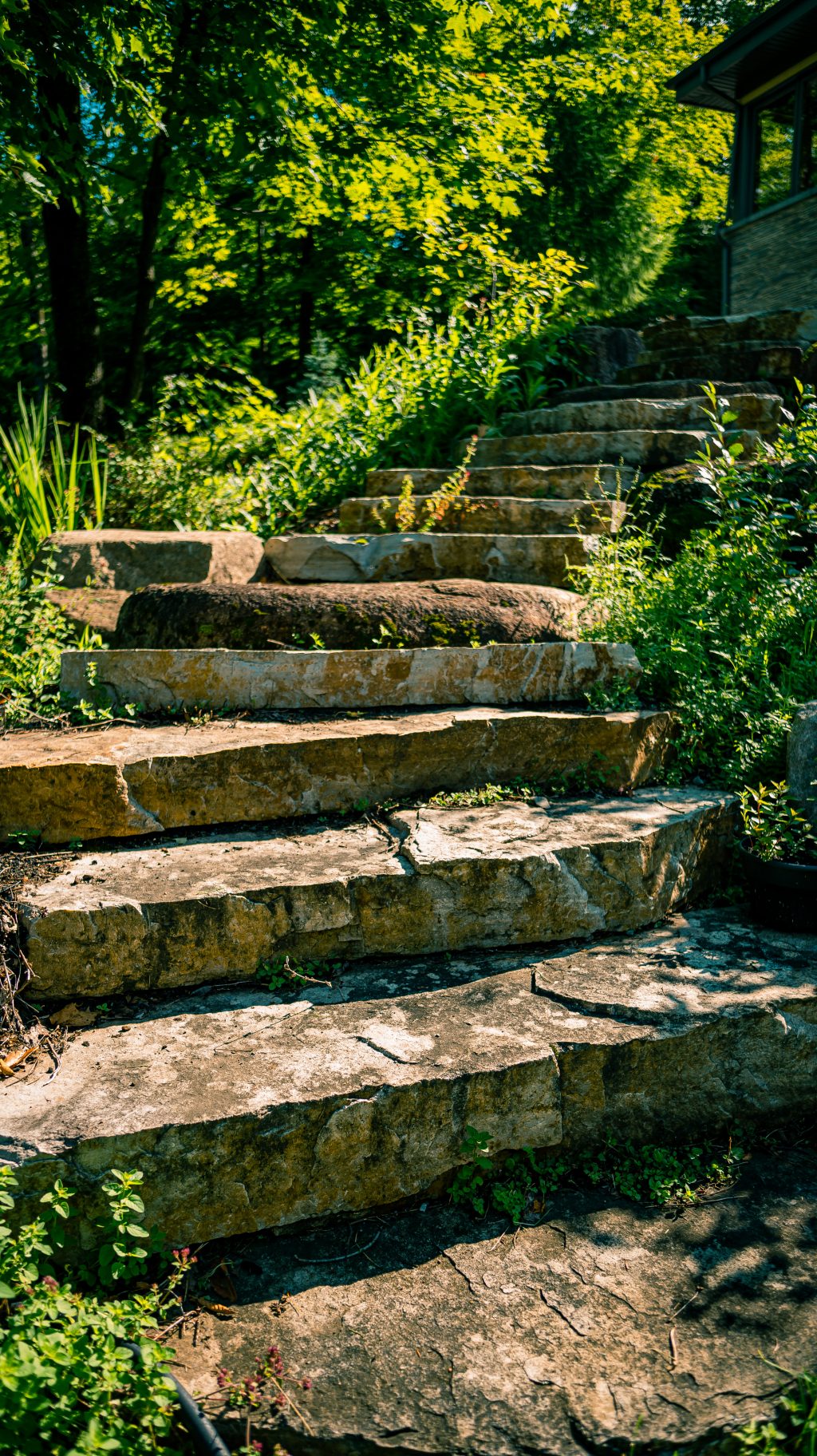 Paysagement - matériaux naturels - escalier de pierre bordée d'origan